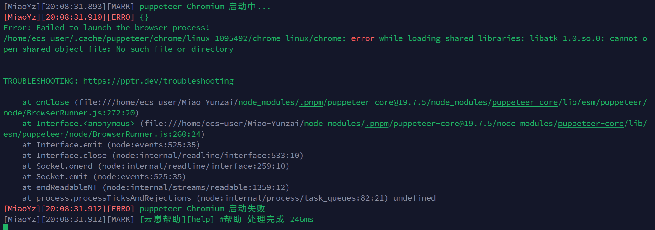 puppeteer Chromium 启动失败